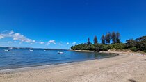 Motuihe Island Day Trip Ferry from Auckland