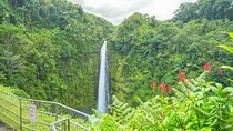 Hilo Finest Waterfalls and Town Tour 