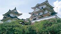 Southern Kyoto and Mie Iga Sightseeing and Rail Pass 1 Day Ticket