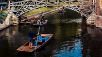 Private Cambridge Day Trip London to Cam Punting