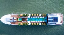 Sail Halong Bay in Luxury Dolphin Day Cruise with Panoramic Views
