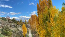 Highlights of the Otago Rail Trail: all-inclusive eBike Tour