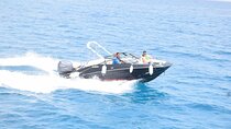 Private Speedboat Snorkeling Voyage with Transfer / Marsa Alam
