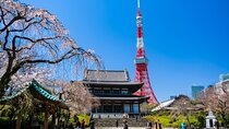 Tokyo Wheelchair-Friendly Custom Day Tour: Asakusa, Tsukiji 