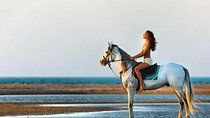 Desert & Sea: 2-Hour Horseback Ride in Hurghada