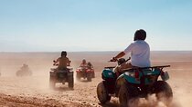 Marrakech Agafay Desert Camel Ride quad bike and buggy ride