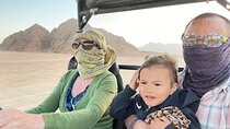 Family Buggy Safari with Camel Trek and Transfer / Marsa Alam
