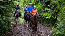 Arenal Horseback Riding to La Fortuna Waterfall 