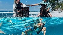 Bali Horse ride commbine Snorkeling blue lagoon