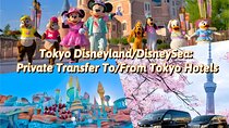 Tokyo Disneyland/DisneySea: Private Transfer To/From Tokyo Hotels