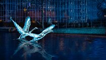 Amsterdam Light Festival Canal Cruise With Unlimited Drinks