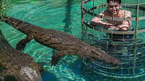 3-Days -Attraction:Crocodile Diving Cage & Cape Point & Wine 