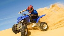 Desert Safari Tour and Quad Bike/Buggy Adventure in Doha