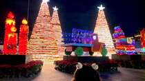 Mexico City's Christmas Lights and Festivities Walking Tour