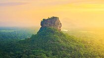Sigiriya Lion Rock & Evening Safari Full Day Private Tour