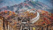 Mutianyu Great Wall Day Tour by Bus