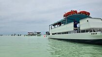 Sandbar Boat Tour in Marathon Florida