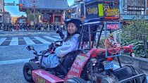 Tokyo Go Kart: Asakusa, Skytree, and Akihabara **IDP MUST**