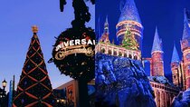 From Bumblebee to Butterbeer: Beijing Universal studios trip