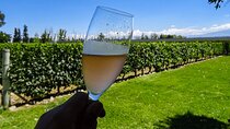 Wine and Sparkling Tour in Lujan de Cuyo from Mendoza