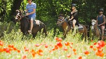 Experience Marmaris Horse Safari in Camli Village 