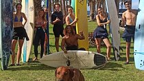 Tenerife Paddle Surf and Snorkeling Experience