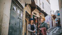 Fez Medina Private Walking Tour – Half-Day Exploration