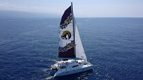 Kona Luxury Catamaran Yacht Snorkel & Sail