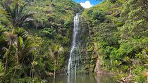 Private Auckland West Coast Tour Piha Beach and Karekare Falls 