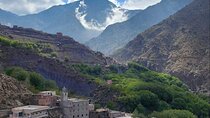 Atlas Mountains: Hiking day trip from Marrakech to Tedli Summit 