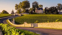 Half-day in the Médoc : 2 wineries & 6 wines