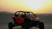 Doha ATV's/Quads/Buggy, Dune Bashing, Camel Ride & Sand Boarding