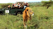 5-Days cape town:Big Five Safari-Oudtshoorn -Knysna -Mossell Bay
