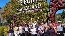 Rotorua Highlights inc. Waiotapu & Te Puia Day Tour from Auckland