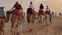 Timlalin Dunes Package: Camel Ride, Canyon Visit & Sunset Tea