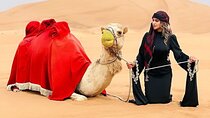 Private Morning Desert Safari Dubai + Camel Ride & Falcon Photo