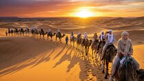 Marrakech Desert Tour: 3 Days with Camel, Quad & Campfire