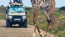 Nairobi national park drive private tour in 4x4 Landcruiser 