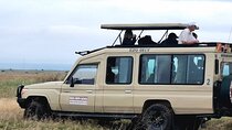Private Day trip Amboseli National Park in 4x4 Landcruiser
