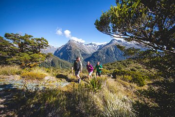Full-Day Routeburn Track Key Summit Guided Walk from Te Anau