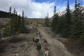 Sled Dog Adventure and Pan for Gold in the Yukon
