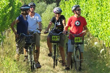 Full-Day Marlborough Wine Region Bike Hire