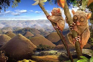 Bohol: Countryside Eco-Cultural Tour w/ Loboc River Lunch