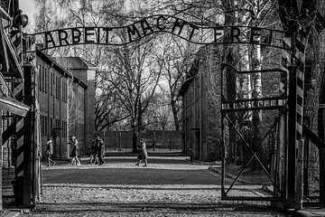 Auschwitz-Birkenau Memorial and Museum Guided Tour from Krakow
