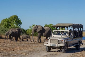 Chobe Full day Safari with Victoria falls Sunrise Tour Combo
