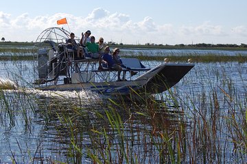 Private Tour: Florida Everglades Airboat Ride and Wildlife Adventure