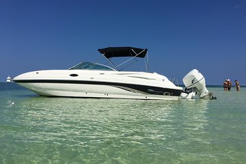 Private Half Day Stingray City, Snorkeling and Starfish Beach Tour