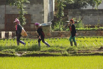 Two-day Dali & Lijiang Tour