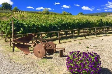 Chianti Wine and Vinci half day Small Group Tour from Montecatini Terme