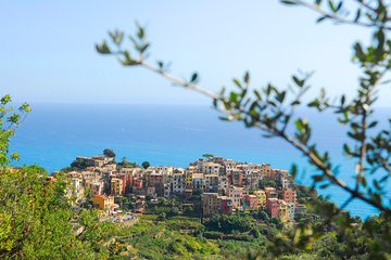 Cinque Terre Pesto Making Class, Boat Tour and Lunch